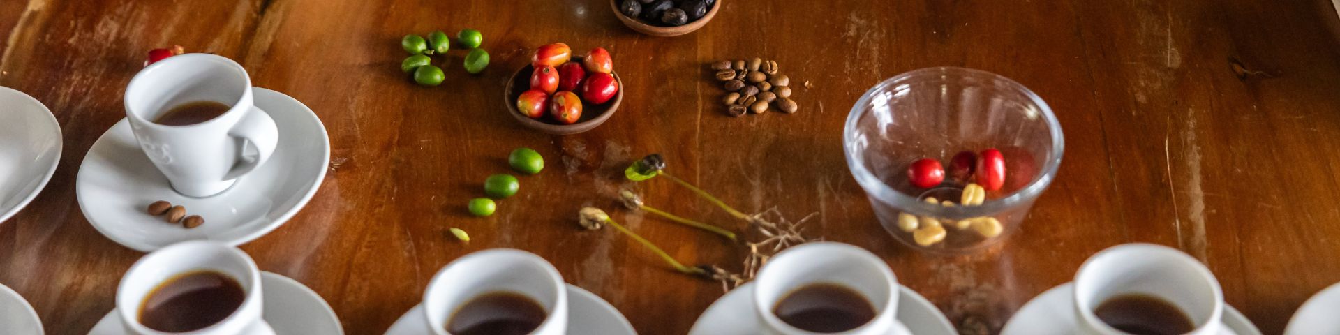 Kaffeproduktion Panama Chiriqui